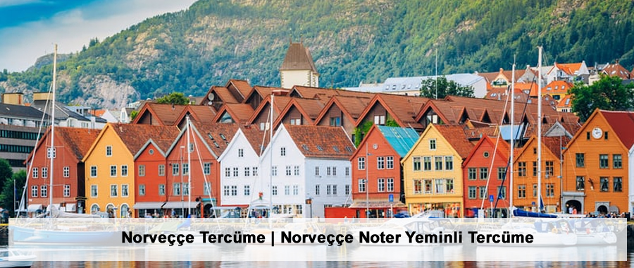 Norvecce Tercüme | Norvecce Noter Yeminli Tercüme